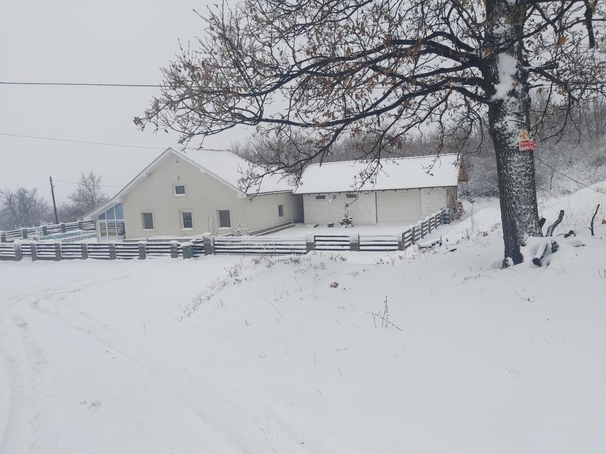 Vila Boba Bor Zlot Bagian luar foto