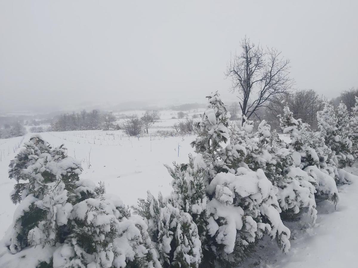 Vila Boba Bor Zlot Bagian luar foto