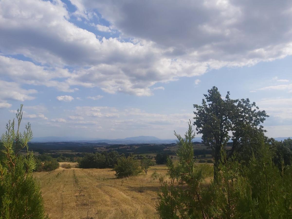 Vila Boba Bor Zlot Bagian luar foto