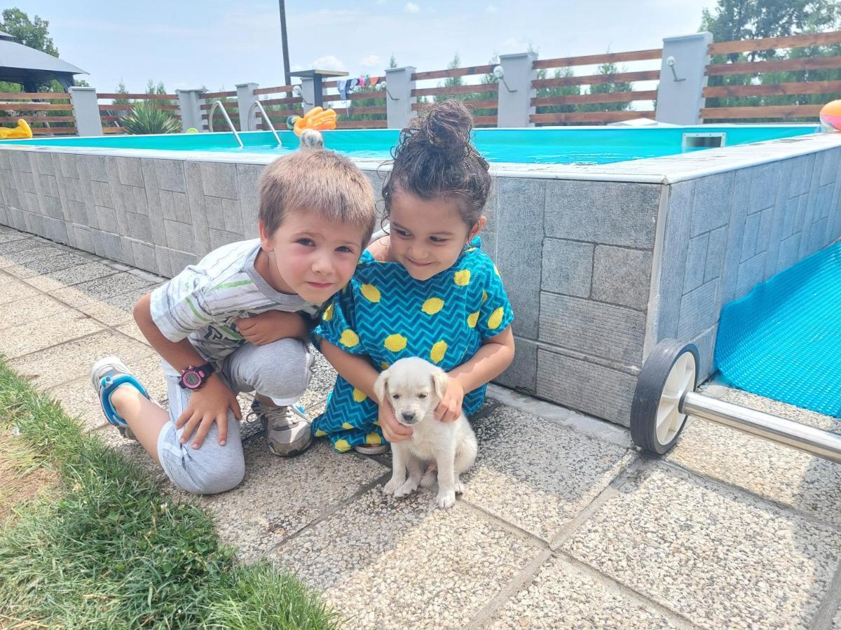 Vila Boba Bor Zlot Bagian luar foto