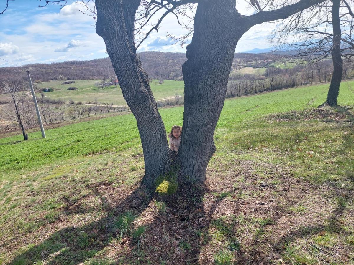 Vila Boba Bor Zlot Bagian luar foto