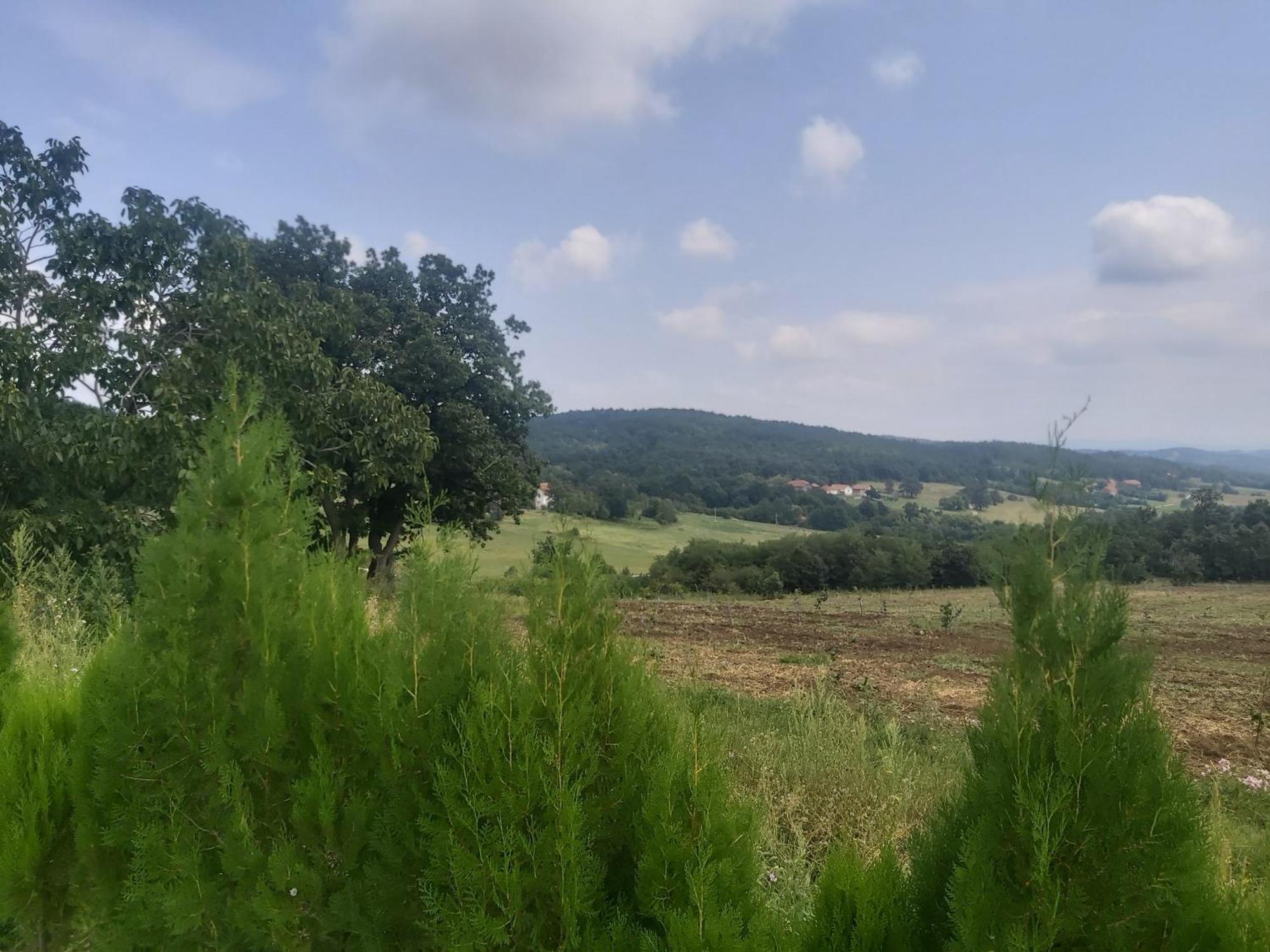 Vila Boba Bor Zlot Ruang foto